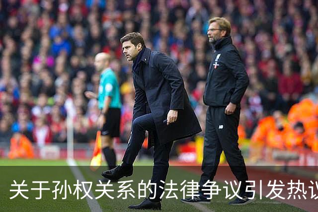 关于孙权关系的法律争议引发热议，网友纷纷献计