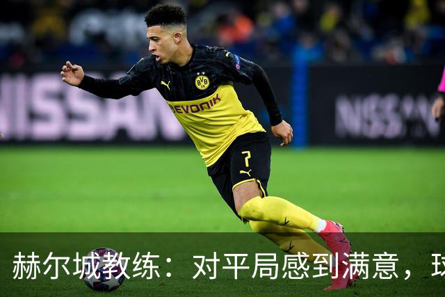 赫尔城教练：对平局感到满意，球队需继续努力